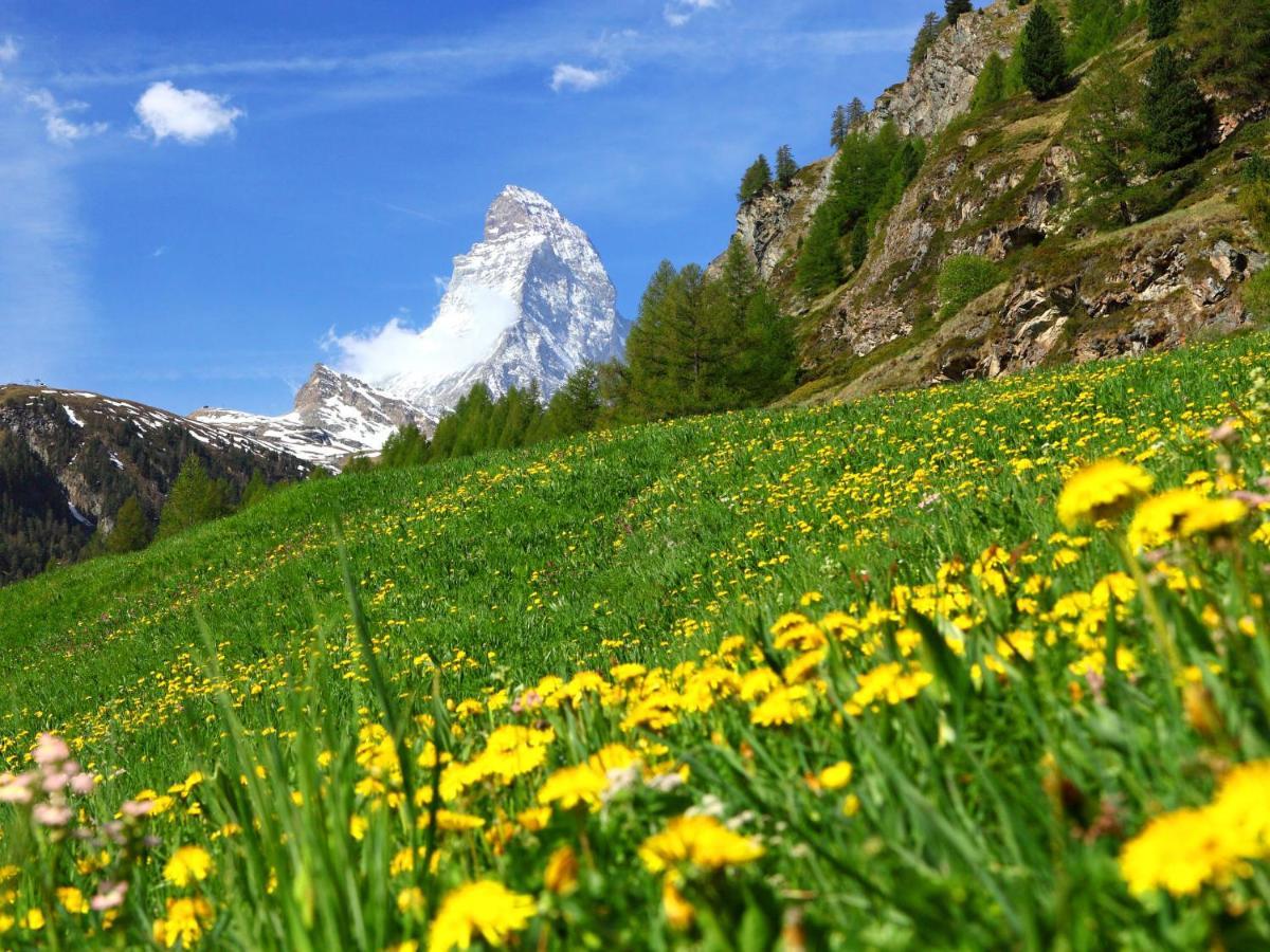 Apartment Alba By Interhome Zermatt Esterno foto