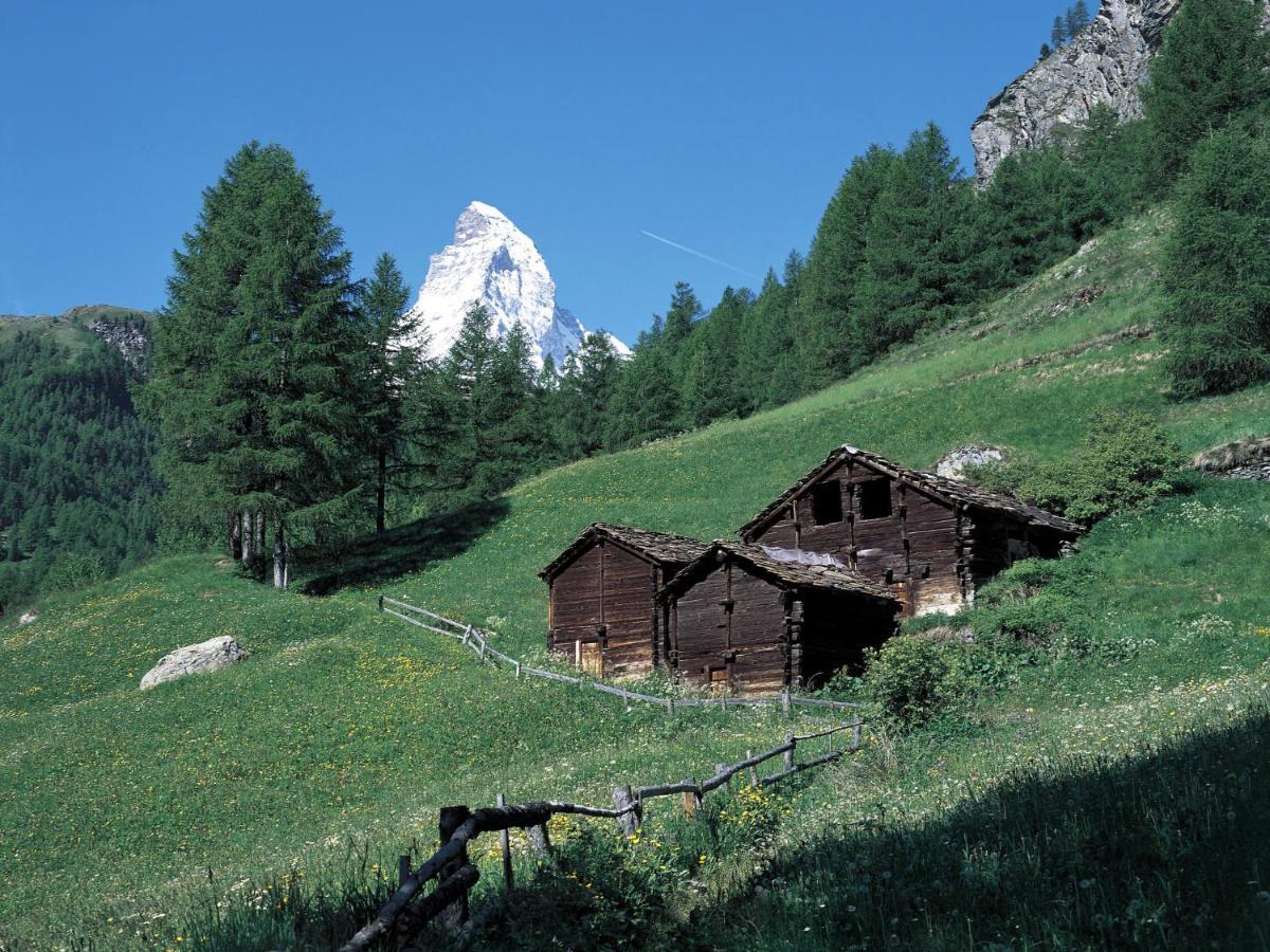 Apartment Alba By Interhome Zermatt Esterno foto